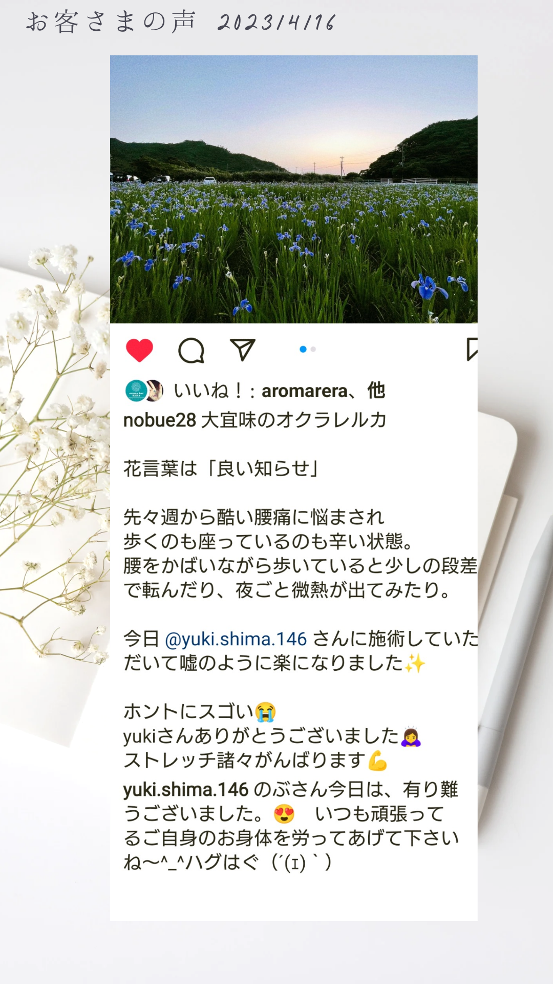 腰痛ケア