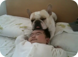 ドライヘッドSPAで爆睡ｚｚｚｚ