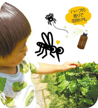 アロマ（精油）で虫よけ・虫刺されを回避！
アロマテラピーで自然治癒力を引き出そう！