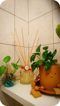 好きな香りで手作り”リードディフューザー”^_^